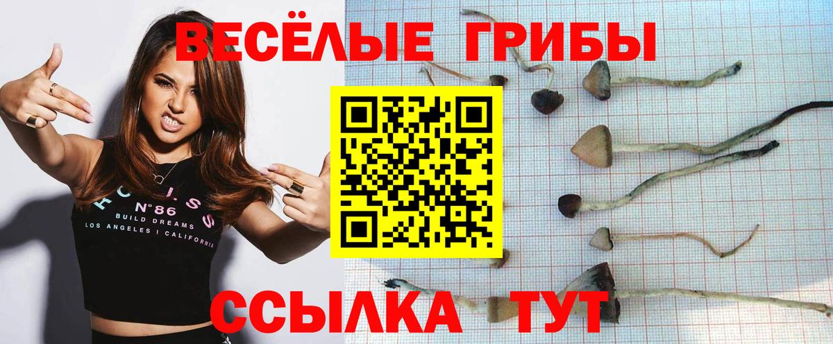 Галлюциногенные грибы Psilocybine cubensis  Вход с VPN  Татарск 