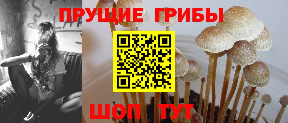 Псилоцибиновые грибы MAGIC MUSHROOMS Татарск